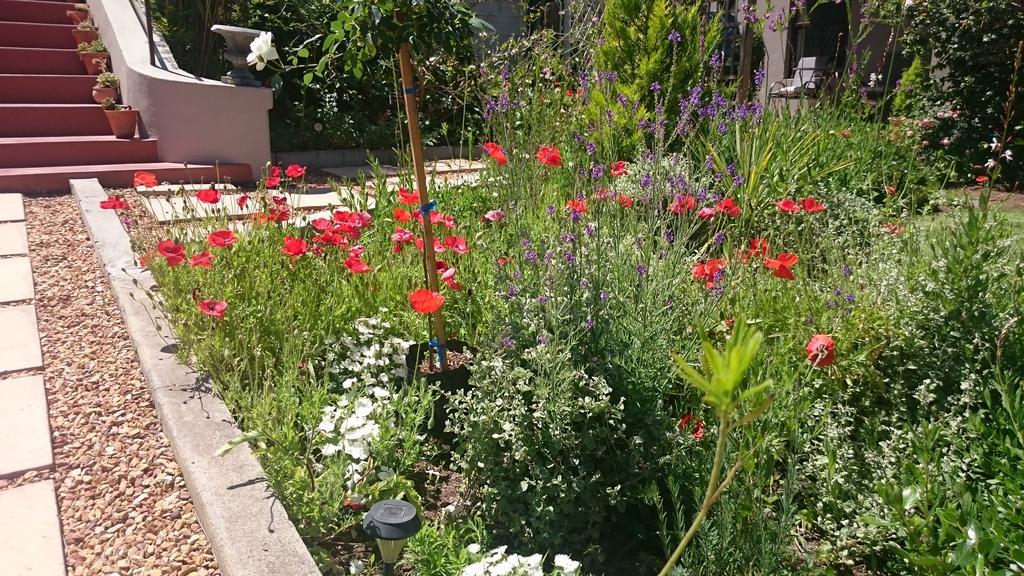 Abigail'S Garden Cottage Montagu Esterno foto